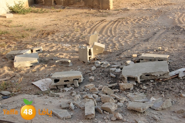 sakis family ard 826 (7).JPG